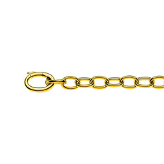 Armbänd Gelbgold 750 Bracelet Anker Oval Handarbeit, ca. 6.0 mm, 20 cm