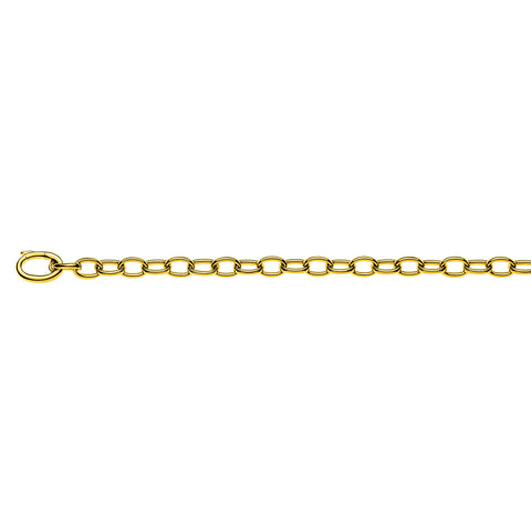 Armbänd Gelbgold 750  Bracelet Anker Oval Handarbeit, ca. 6.0 mm, 20 cm