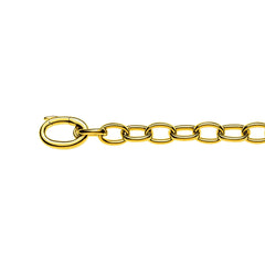 Armbänd Gelbgold 750  Bracelet Anker Oval Handarbeit, ca. 6.0 mm, 20 cm