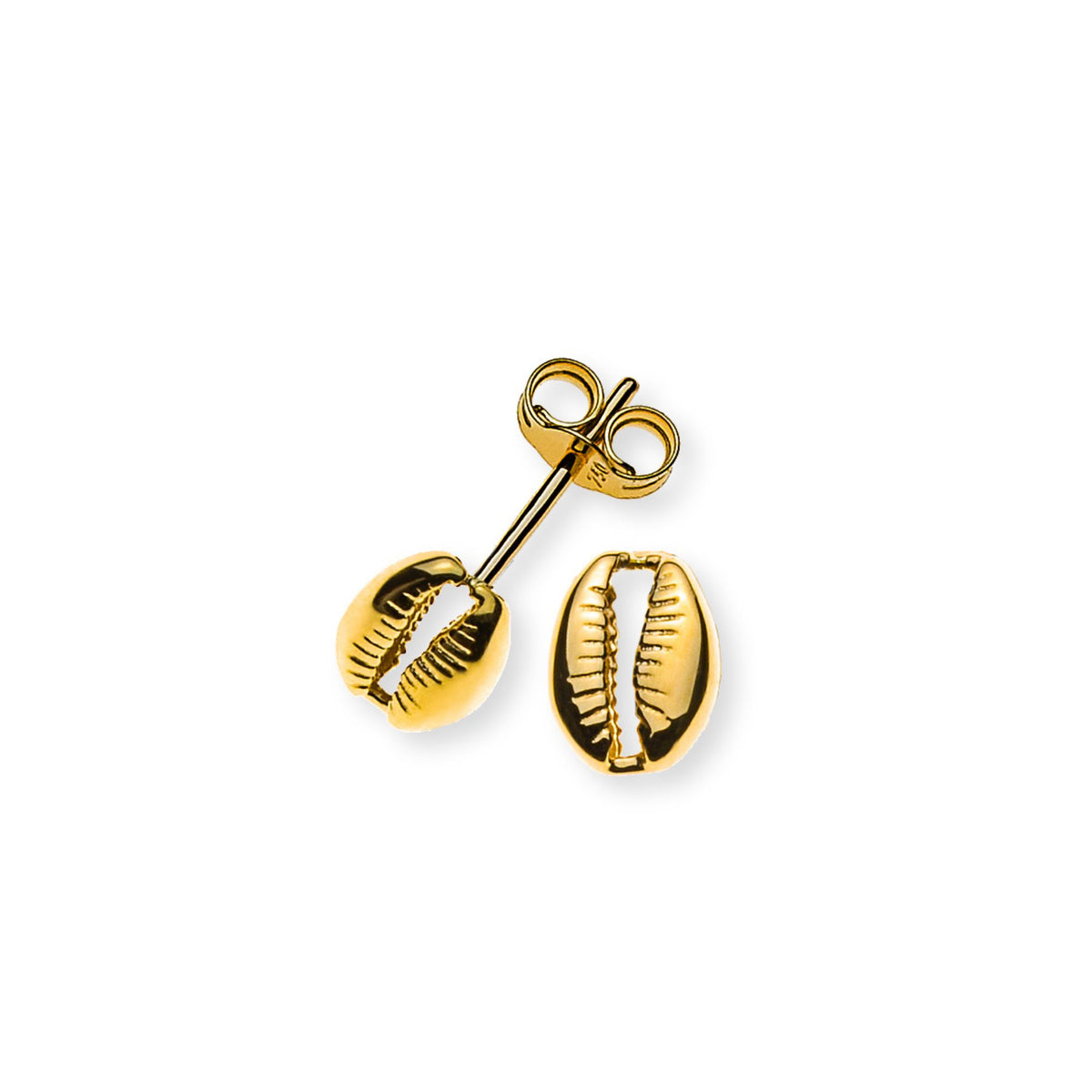OGO1120 - Ohrstecker Kauri-Muschel Gelbgold 750